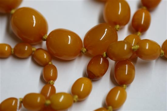 A single strand graduated oval amber bead necklace, 97cm.
